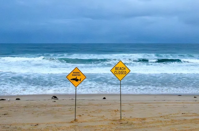 Irish doctor recounts harrowing scene after Australian shark attack
