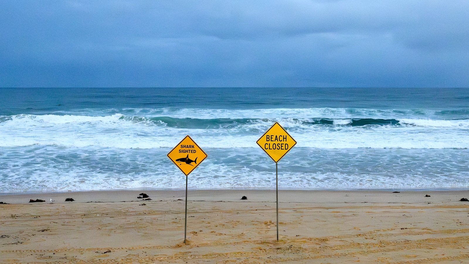 Irish doctor recounts harrowing scene after Australian shark attack