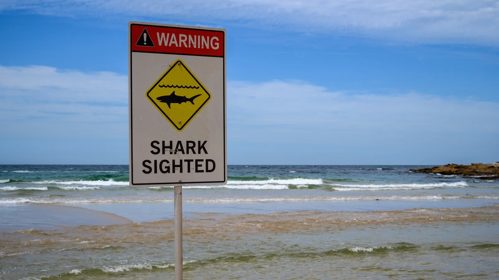 Shark attack in Sydney Harbour leaves boy in critical condition