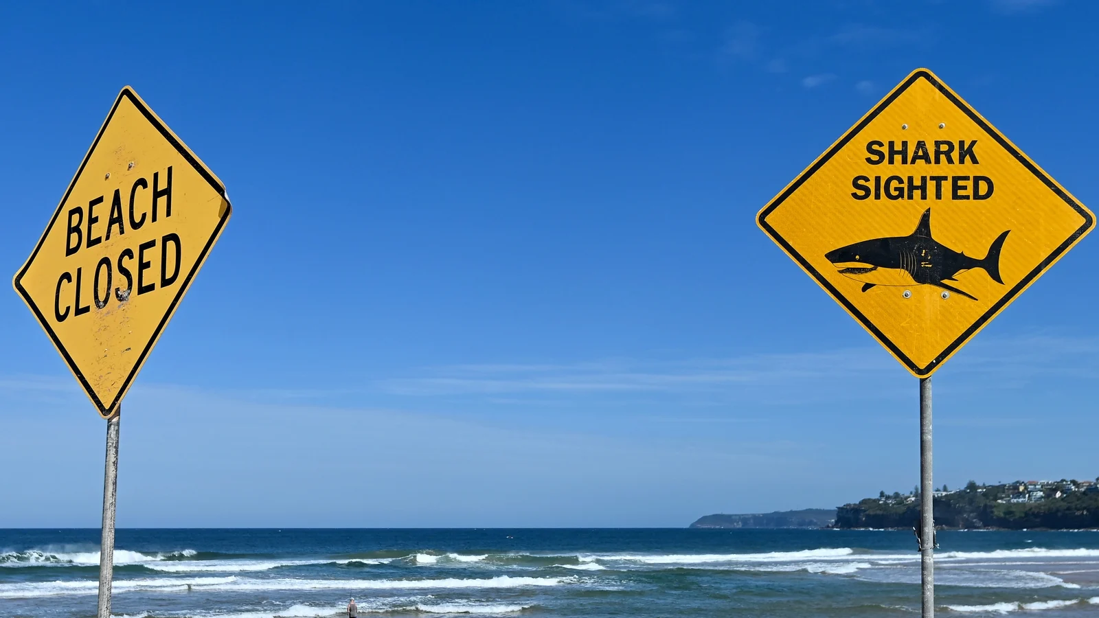 Shark bites surfer off Sydney, third attack within 48 hours