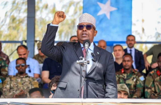 Somali Minister Says Israel Plans to Relocate Palestinians to North Western State of Somalia