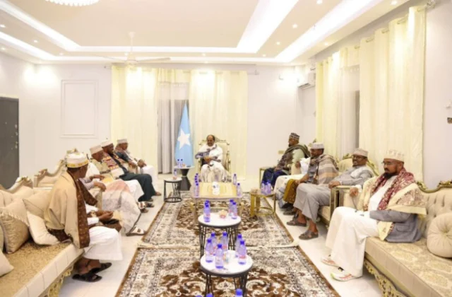 Somali President Urges Unity, Stability After Meeting Northeastern Elders in Las Anod