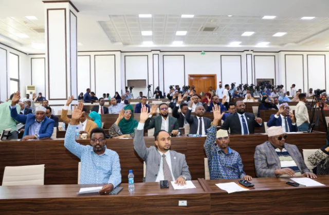 Somalia enacts new cybersecurity law to secure digital systems, critical infrastructure