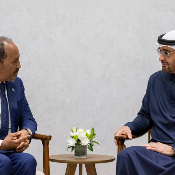 Somalia freezes port, military and security pacts with United Arab Emirates