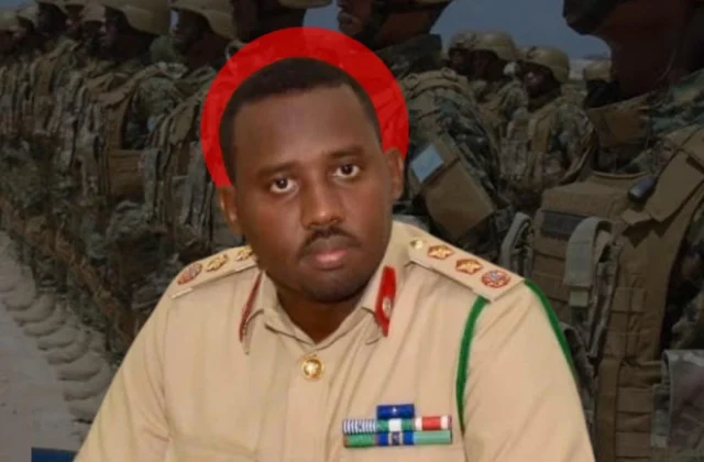 Somalia replaces army chief ahead of new al-Shabab offensive