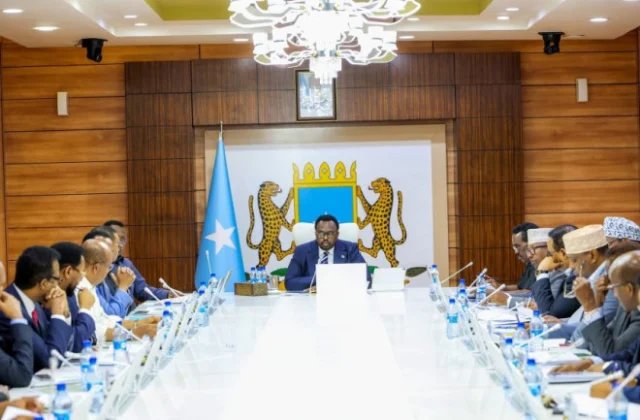 Somalia Ends UAE Security and Defense Deals Over Sovereignty Concerns