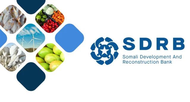 Somalia’s Development Bank Prioritizes Governance to Strengthen Public Trust