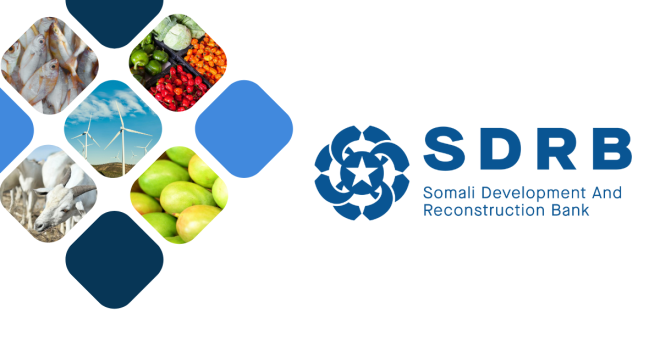 Somalia’s Development Bank Prioritizes Governance to Strengthen Public Trust