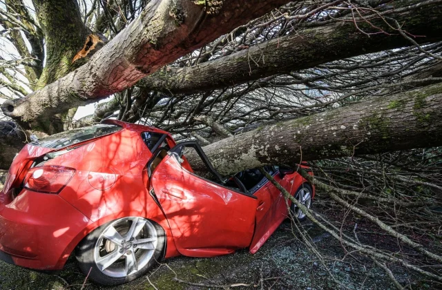 Storm Goretti slams Northern Europe, causing mass power outages and travel chaos