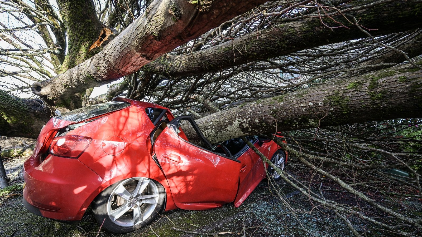 Storm Goretti slams Northern Europe, causing mass power outages and travel chaos