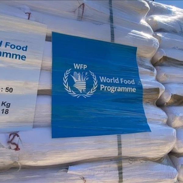 U.S. Restarts Food Aid After Somalia Admits World Food Programme Disruptions