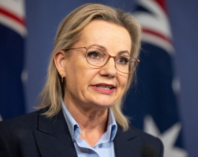 Australian shadow immigration minister denies agreeing to unreleased Liberal Gaza, Somalia migrant ban