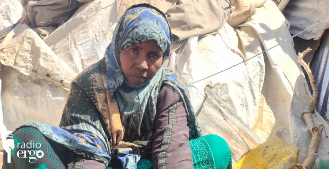 Displaced pastoralists seek refuge in Lasanod and surrounding Sool areas