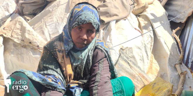 Displaced pastoralists seek refuge in Lasanod and surrounding Sool areas