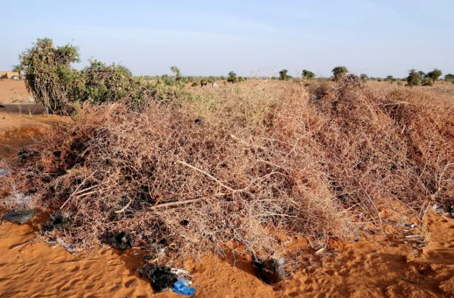 Drone Attack Claims Lives of Two Children at Sudanese Mosque