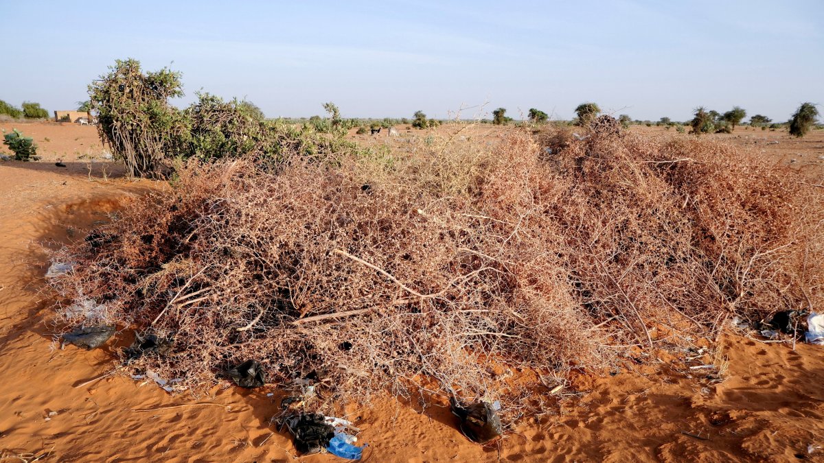 Drone Attack Claims Lives of Two Children at Sudanese Mosque