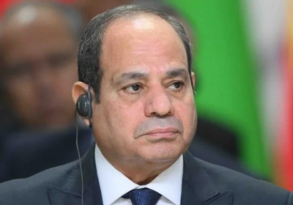Egypt Leads African Union Peace and Security Council, Vowing Priority for Sudan, Somalia