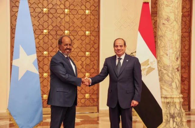 Egypt, Somalia presidents meet in Cairo to deepen ties, security cooperation
