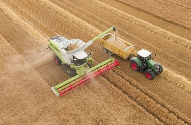 European Union farm subsidy overhaul may delay payouts, auditor warns