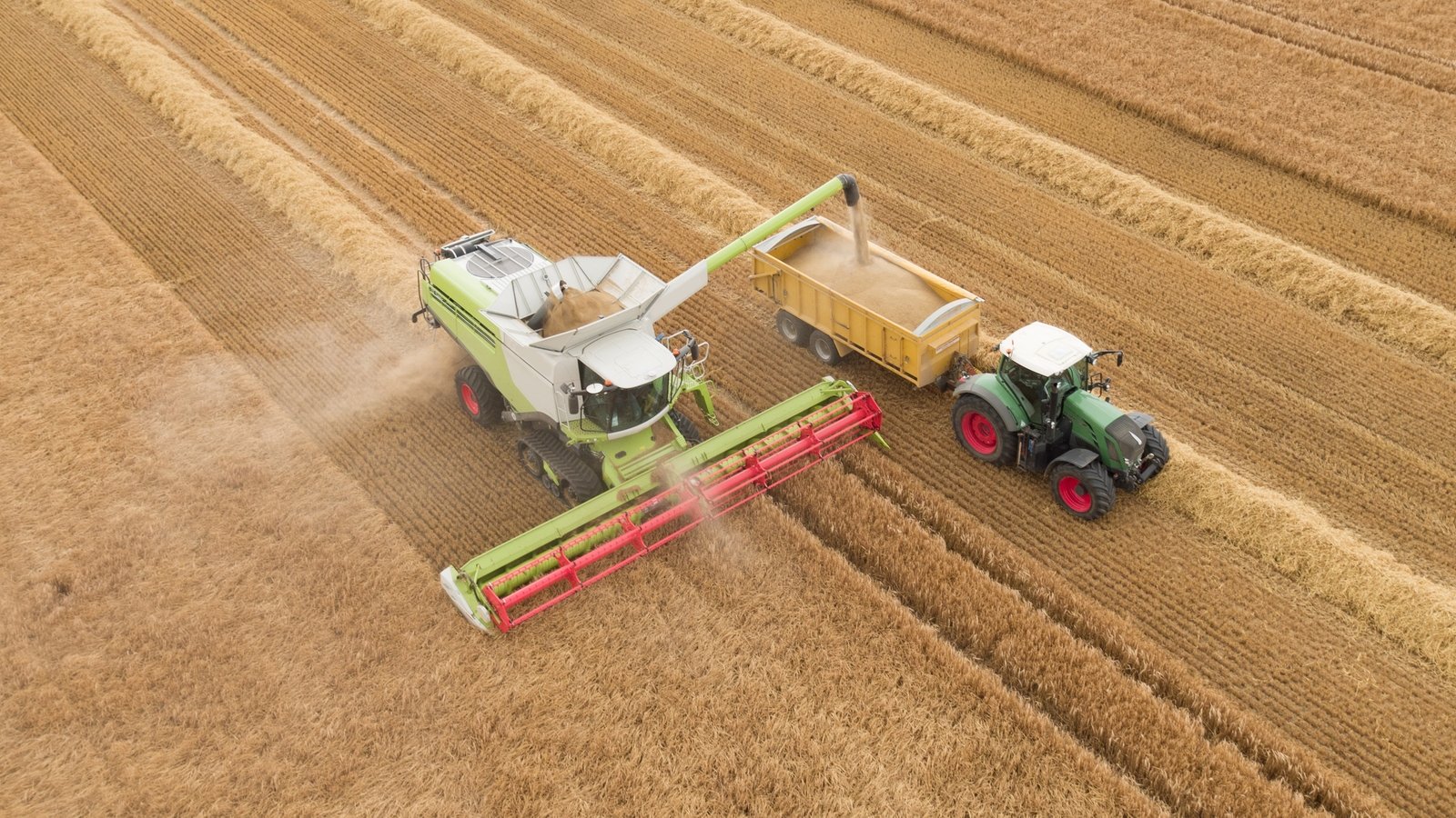 European Union farm subsidy overhaul may delay payouts, auditor warns