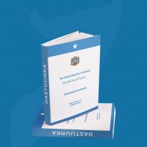 Exploring the Updated Constitutional Design in Chapter 5 Amendments
