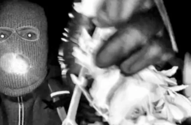 FBI Verifies DNA on Glove Discovered Near Nancy Guthrie’s Residence