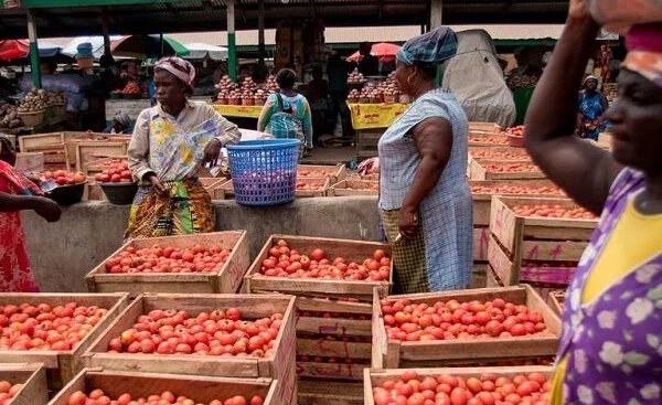 Insurgent Assault Hinders Trade Between Ghana and Burkina Faso