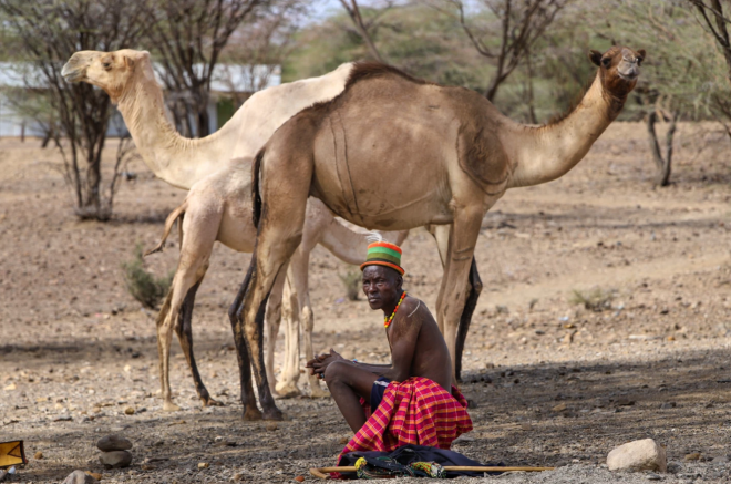Persistent drought in Kenya leaves families hungry as livestock die