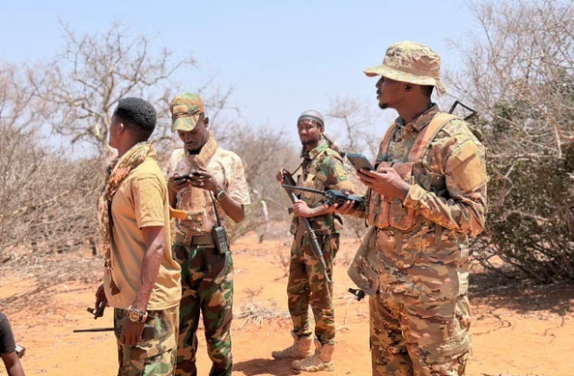 Somali Government Says 17 al-Shabab Commanders Killed in Six Months