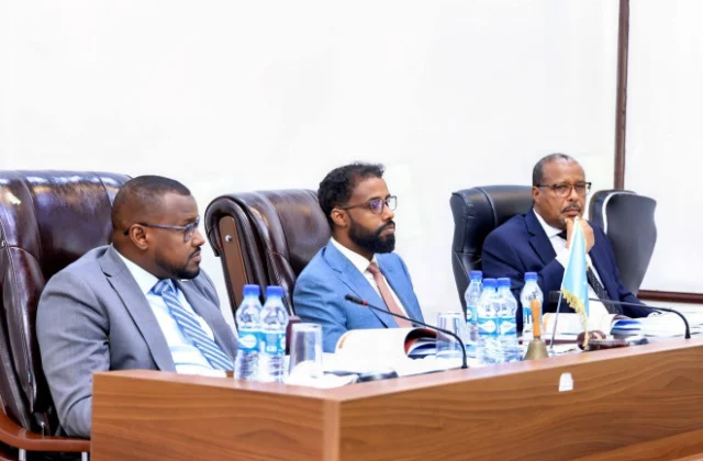 Somali Parliament Concludes Chapter Four Debate, Advances to Next Review Phase