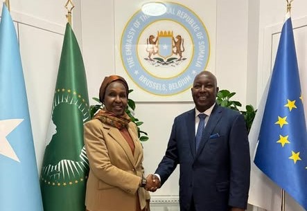 Somali rights leaders gather in Brussels to advance human rights, peacebuilding collaboration