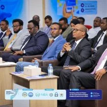 Somalia Launches Initiative for Streamlined Digital Government Services, Officials Report