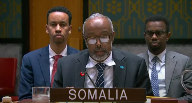 Somalia calls for global action to prevent displacement of Palestinians