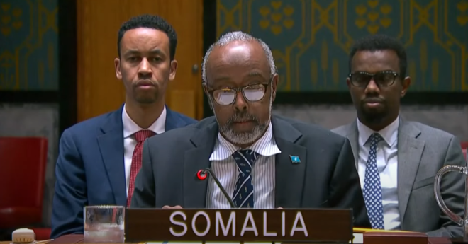 Somalia calls for global action to prevent displacement of Palestinians