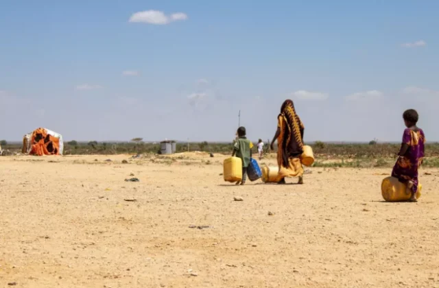 Somalia’s Conflict: A Family Feud in a Homogeneous Nation Lacking Peace