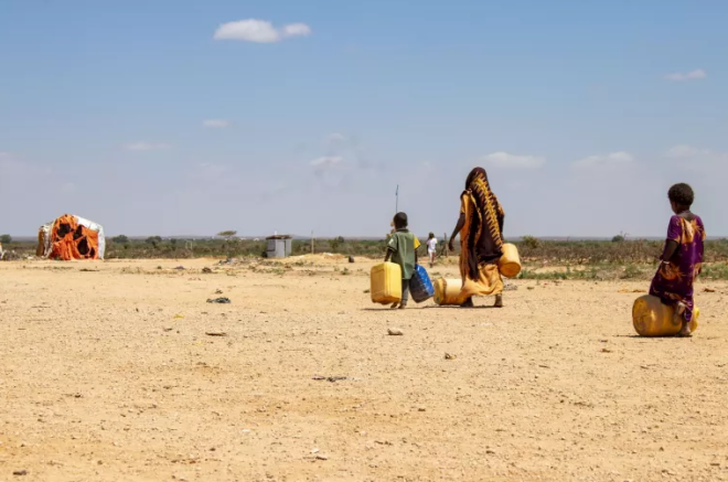 Somalia’s Conflict: A Family Feud in a Homogeneous Nation Lacking Peace