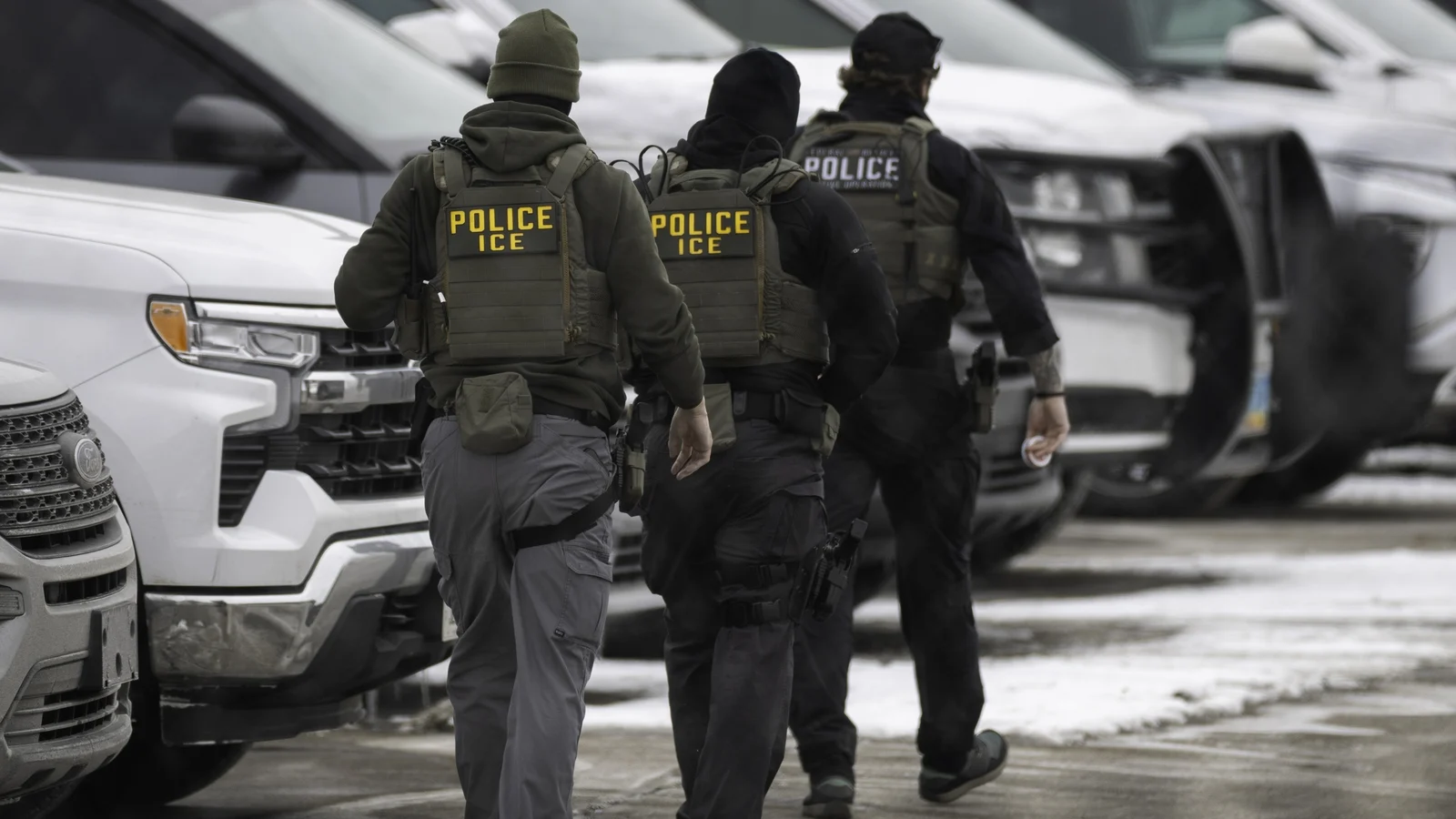 Trump Halts Minnesota Immigration Crackdown, Orders Statewide Enforcement Pause
