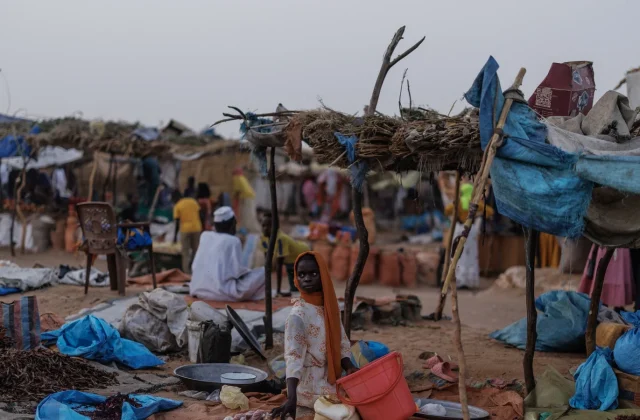UN investigation in Sudan detects signs of genocide in El Fasher