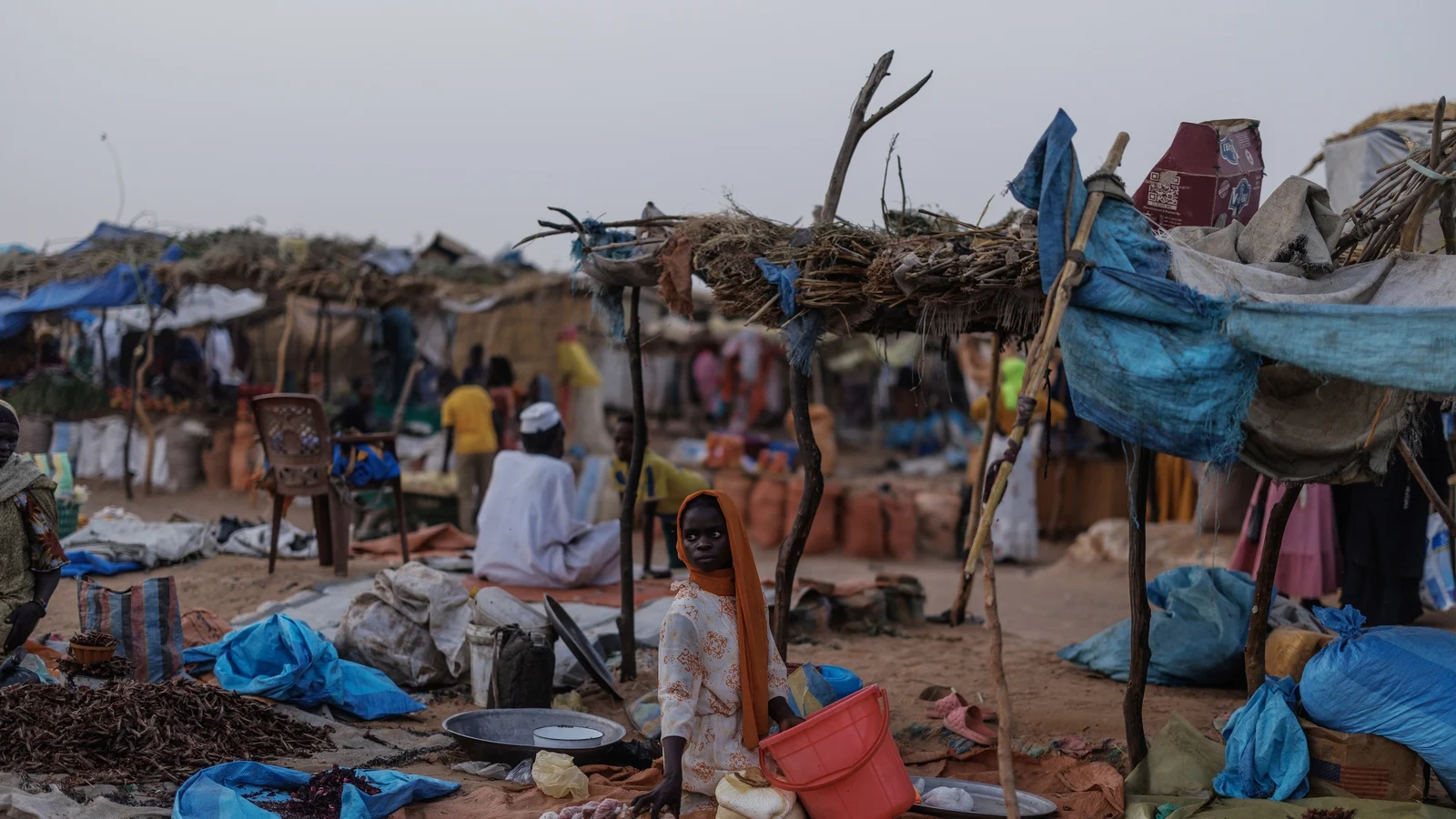 UN investigation in Sudan detects signs of genocide in El Fasher