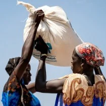 WFP Halts Operations in Baliet County, Urges Protection of Humanitarian Efforts in South Sudan