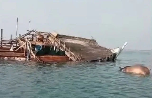 Berbera Livestock Vessel Sinks Off Yemen Near the Bab al-Mandab Strait