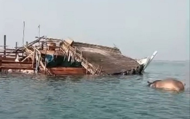 Berbera Livestock Vessel Sinks Off Yemen Near the Bab al-Mandab Strait