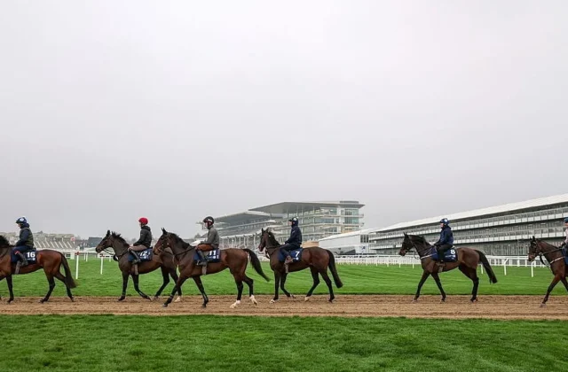 Cheltenham Festival roar returns as organisers battle dwindling crowds