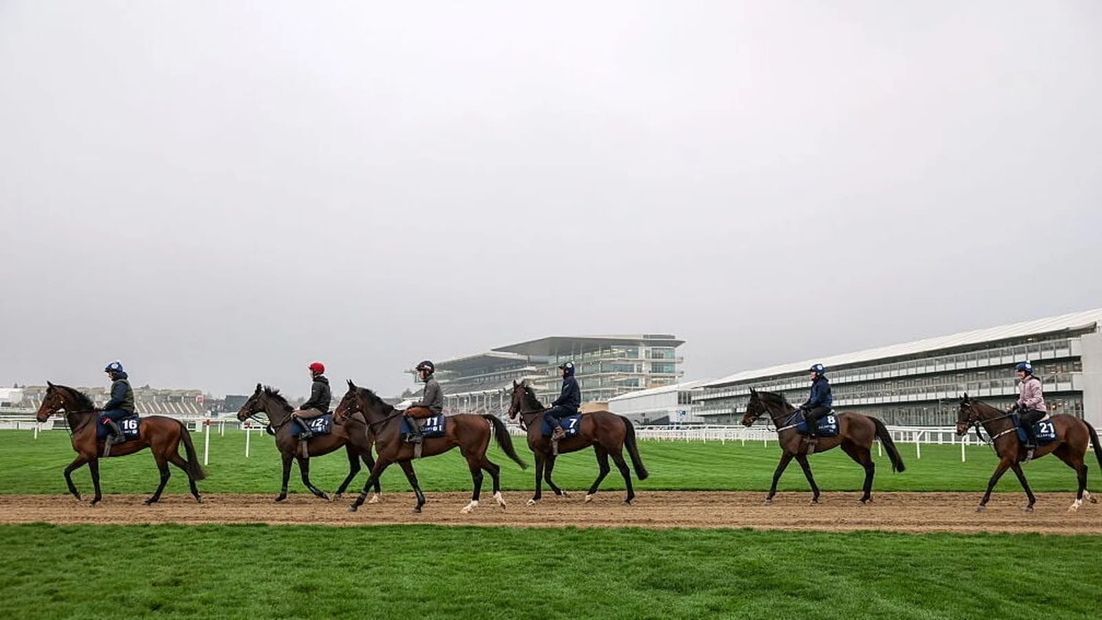 Cheltenham Festival roar returns as organisers battle dwindling crowds
