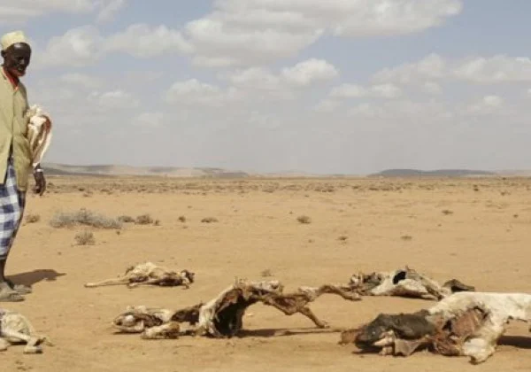 Hormuud Salaam Foundation Pledges $700,000 to Aid Somalia’s Drought Response