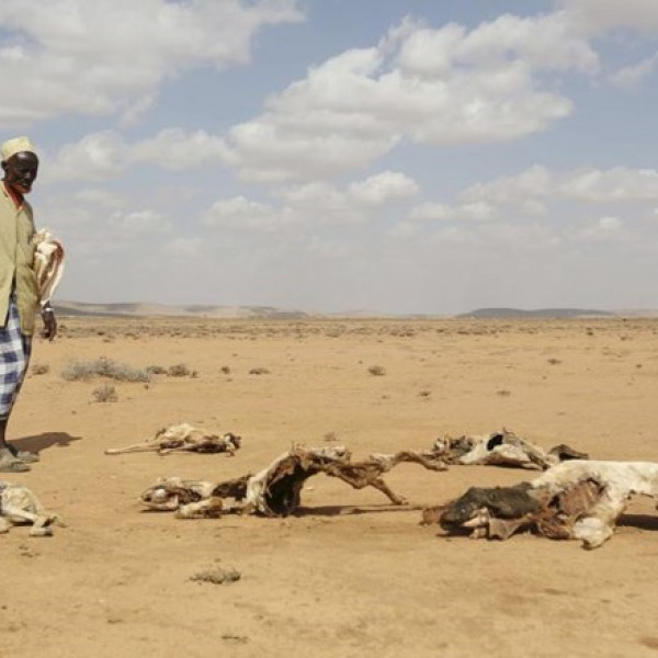Hormuud Salaam Foundation Pledges $700,000 to Aid Somalia’s Drought Response