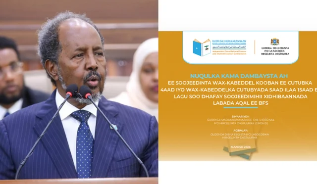 Opinion: Somalia’s Constitution—Strong on Paper, Fragile on the Ground