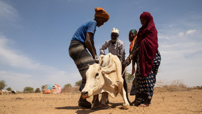 Oxfam: Millions in Somalia, Kenya, Ethiopia face drought; water up 2000% in worst-hit areas