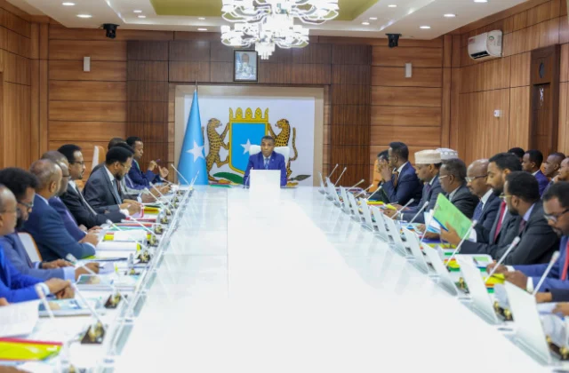 Several federal ministers resign as Somalia’s political crisis deepens