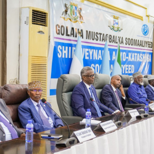Somali Opposition Backs Southwest State amid Growing Rift with Federal Government